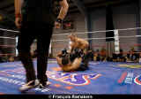 Courtesy of Shooto Belgium